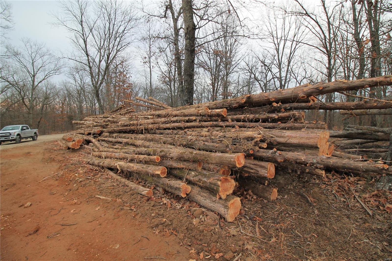 Lake Forest Farms - Farm