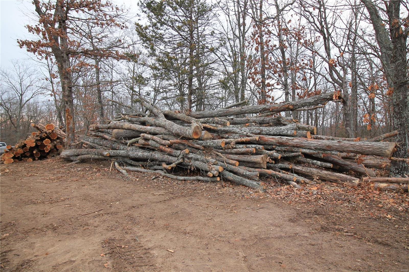 Lake Forest Farms - Farm