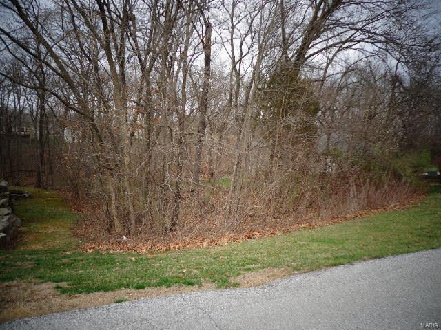 INCLINE VILLAGE - Land