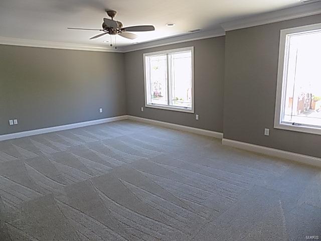 West Jackson Park - Residential