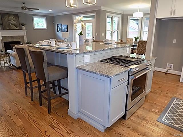 West Jackson Park - Residential