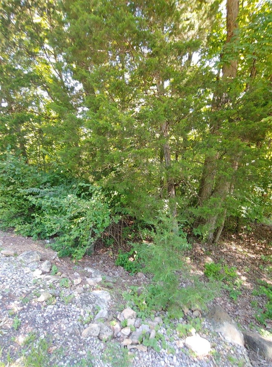 Lake Sherwood Estates - Land