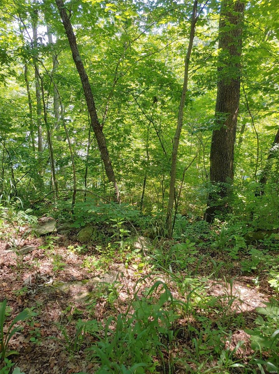 Lake Sherwood Estates - Land