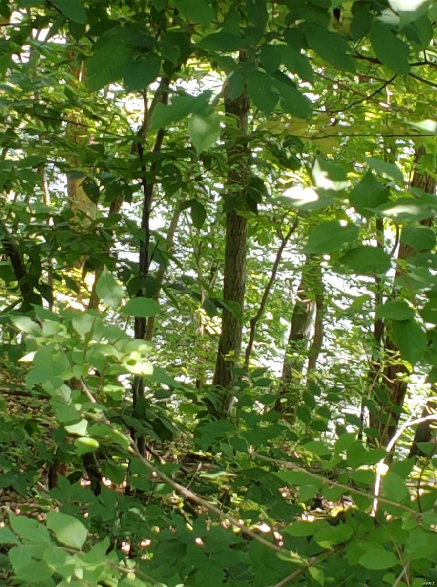 Lake Sherwood Estates - Land