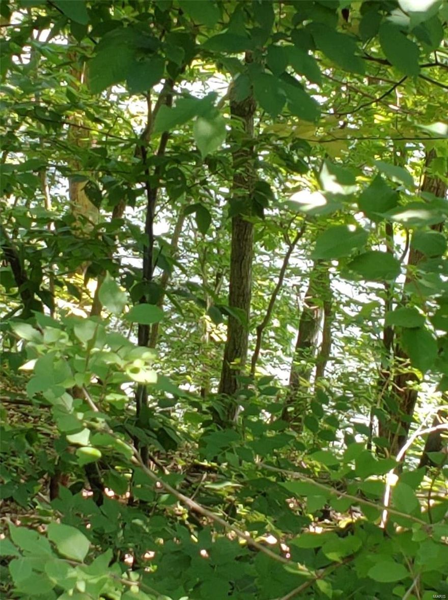 Looking for a WATERFRONT LOT?! Do you need a place to get away take the family fishing, swimming, and camping? Maybe looking to build your future dream home? Well you can do all this for an affordable price today!  This vacant lot situated in a cove on the MAIN LAKE!. Lot sz is 0.3 has deep water all year round. This cove has great fishing and spectacular views. All you need is a dock and you have a perfect place to put your boat,swim and fish. Bring the family you won’t be disappointed. W-S & Elec are assessable for hook up, building restrictions do apply. all year-round Lake Community you can call home! Bring your family and friends stay at the campground. Activities from 4th of July shows to movies on the beach! 24 hr. gated security, swimming pool, boating, water skiing, sand beach, club house, campgrounds, snack bars, volley ball courts, baseball fields, lakeside pavilions and a marina. 6 stock lakes ranging in sz from 3 ac to 135 ac one of the best fishing you will find.