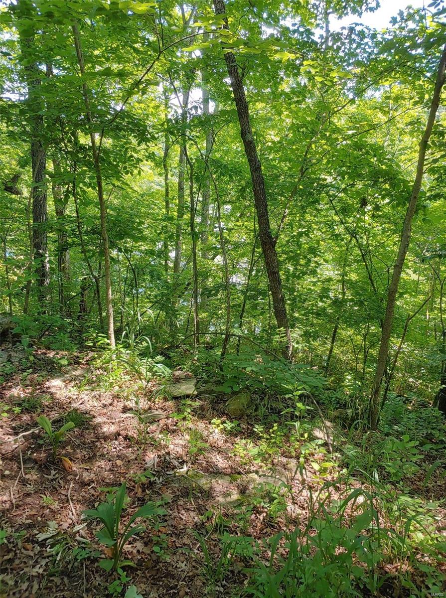 Lake Sherwood Estates - Land