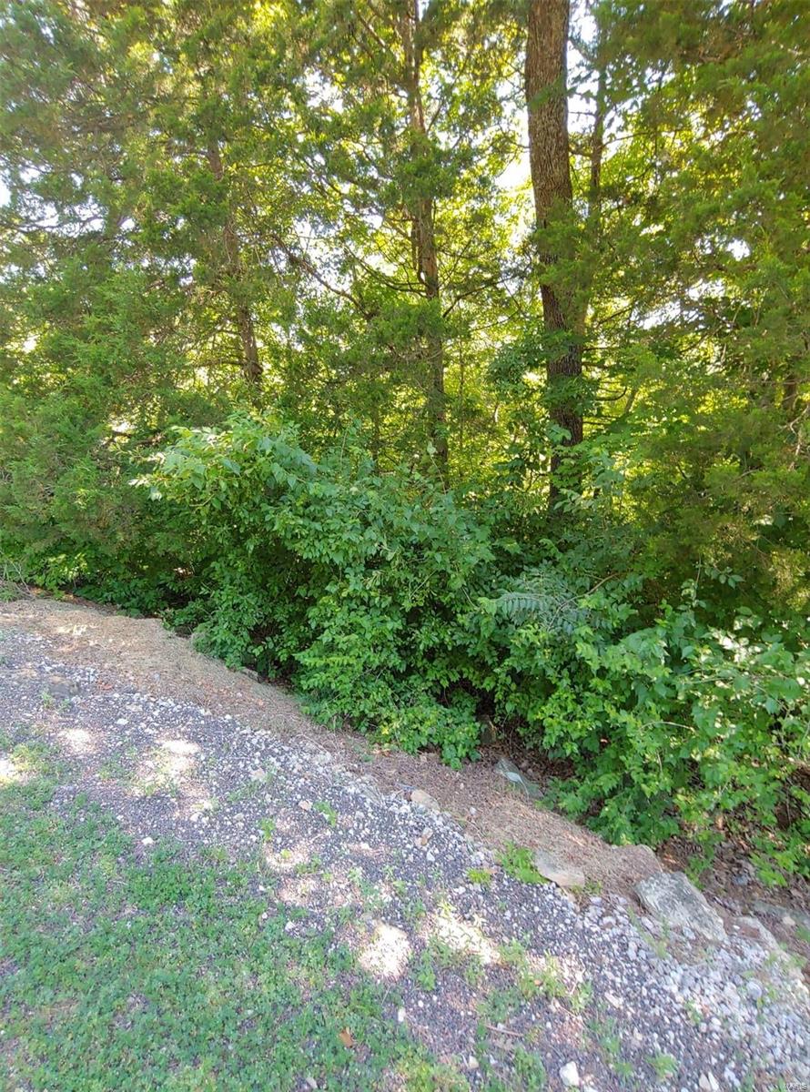 Lake Sherwood Estates - Land