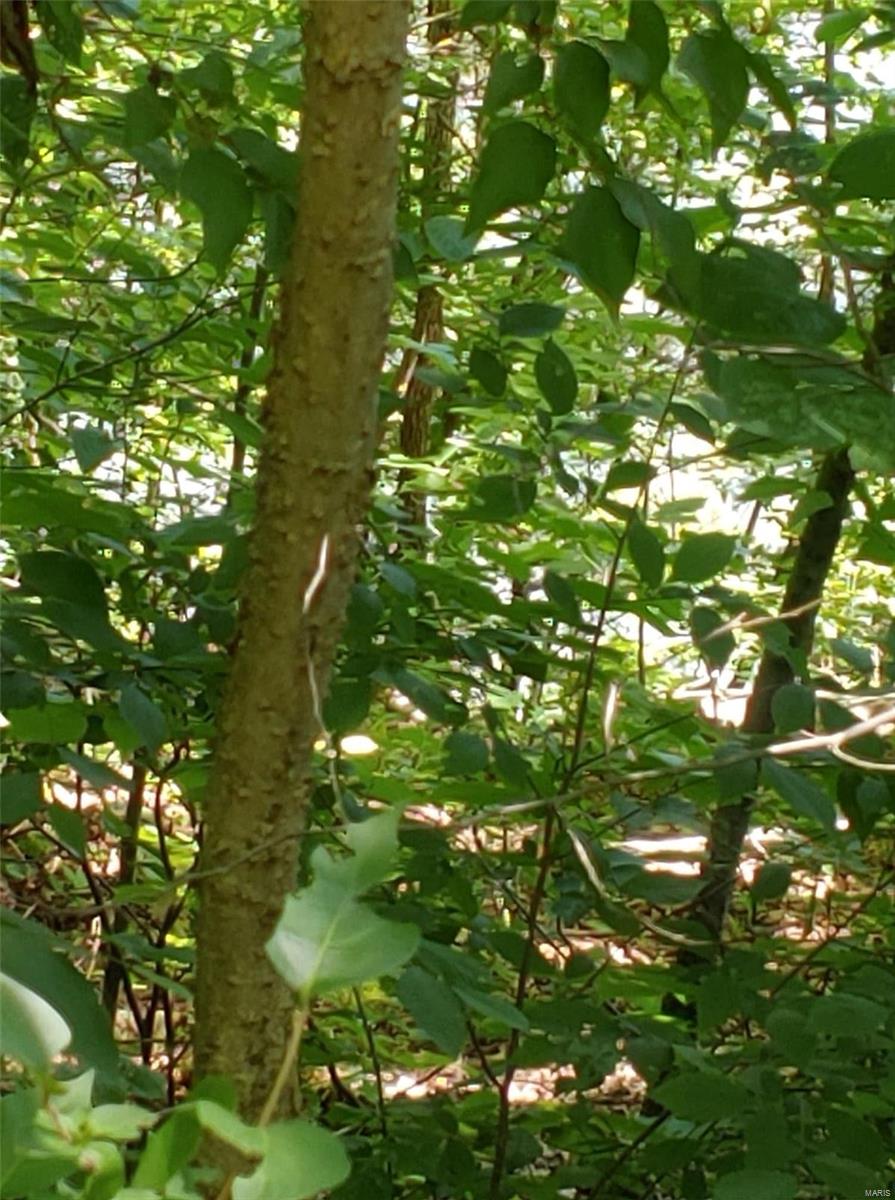 Lake Sherwood Estates - Land