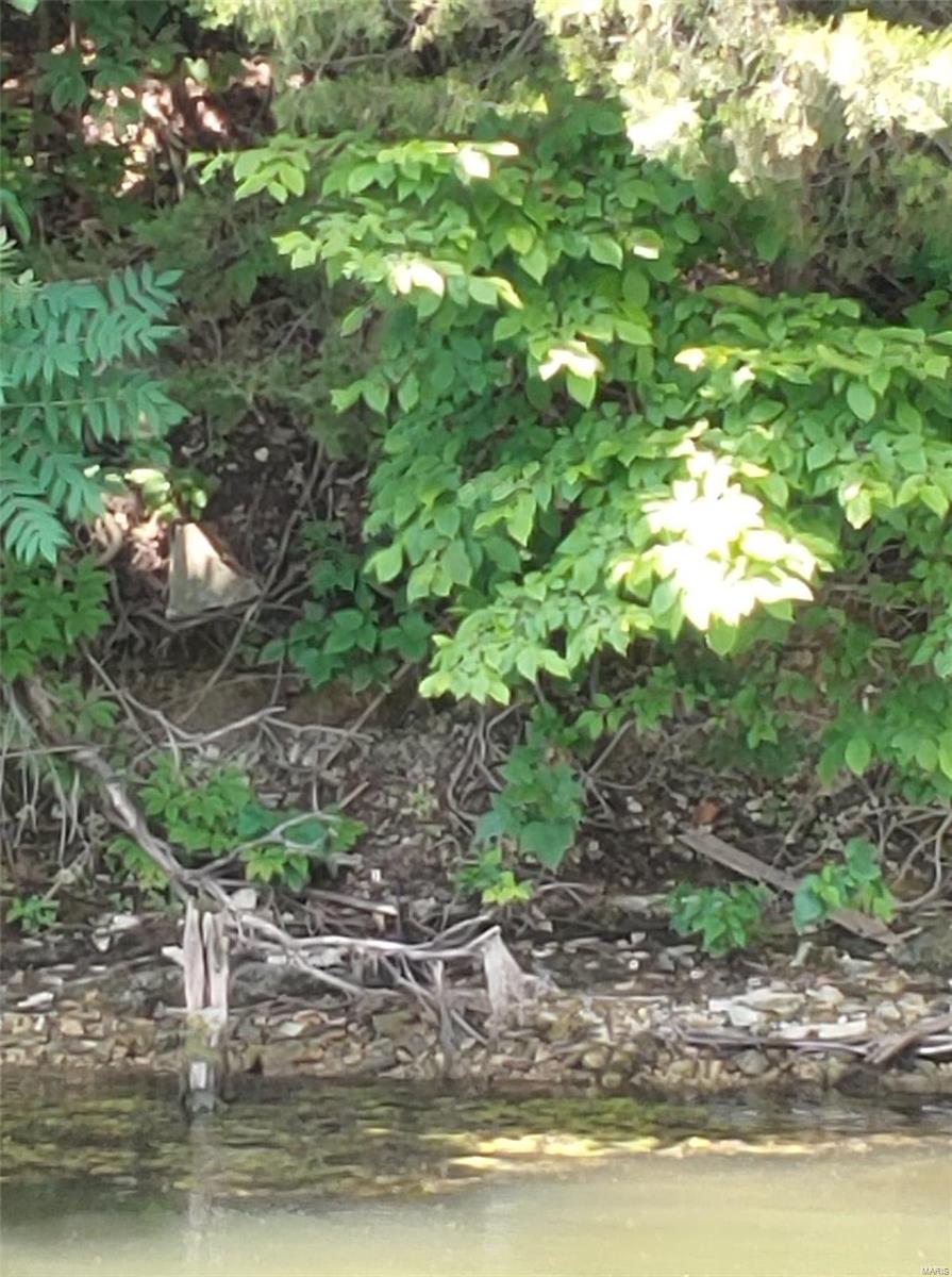 Lake Sherwood Estates - Land