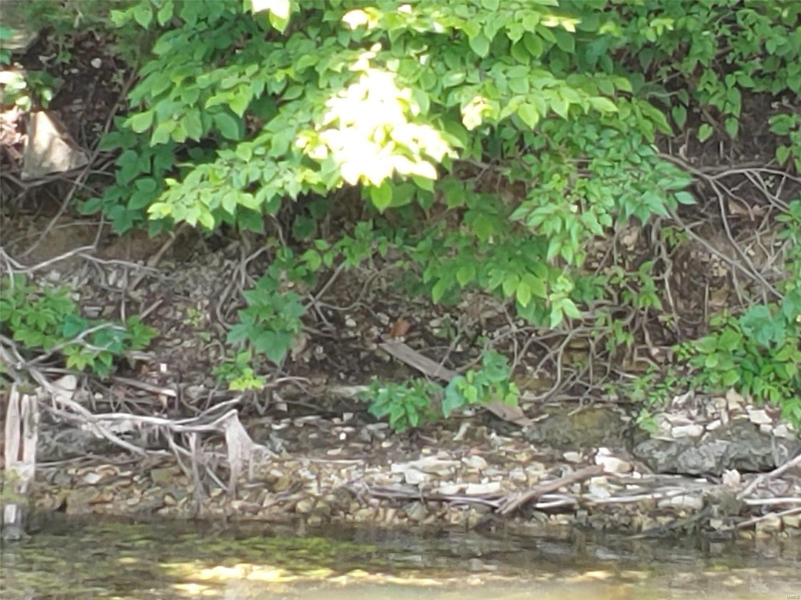 Lake Sherwood Estates - Land