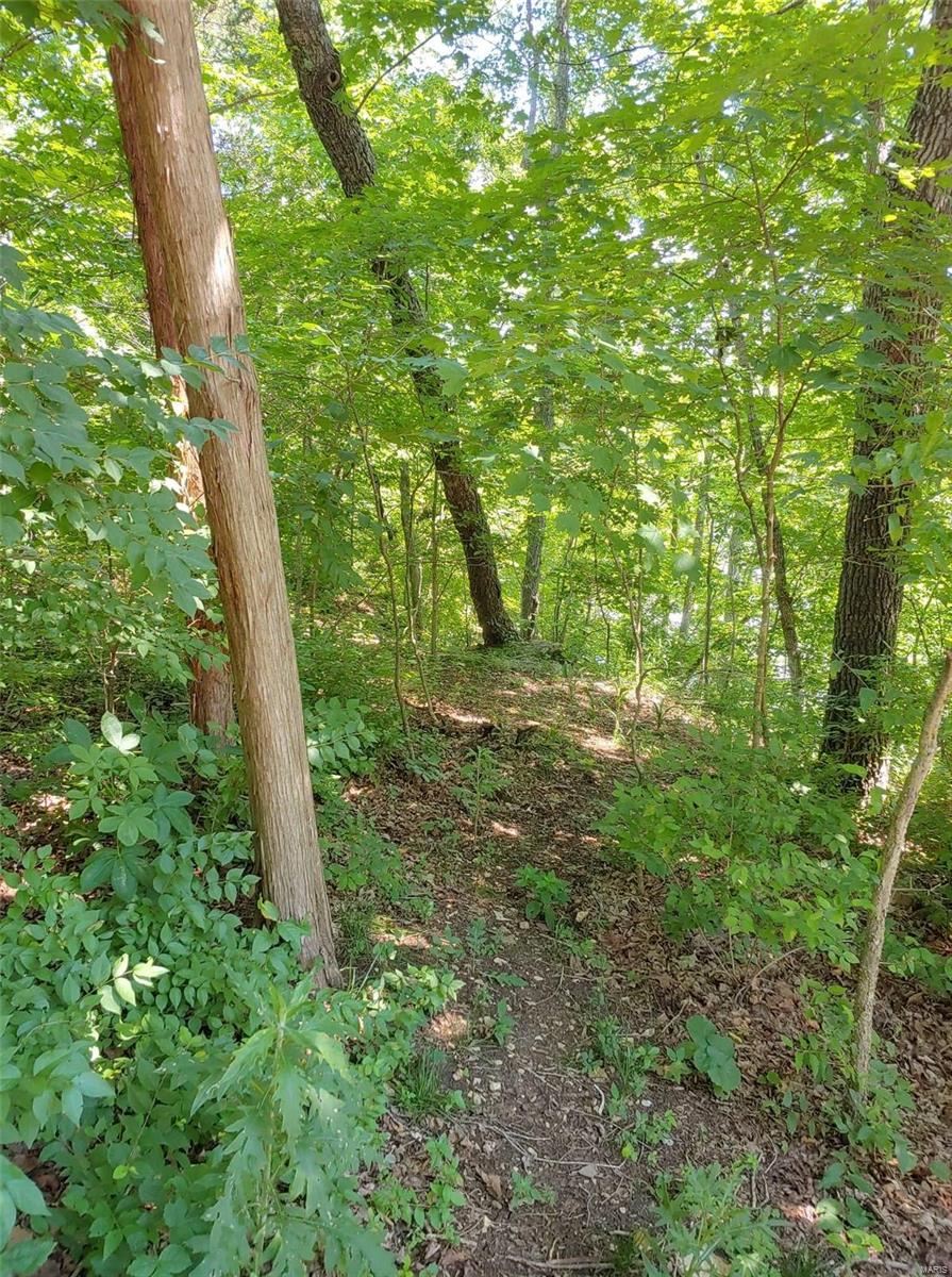 Lake Sherwood Estates - Land