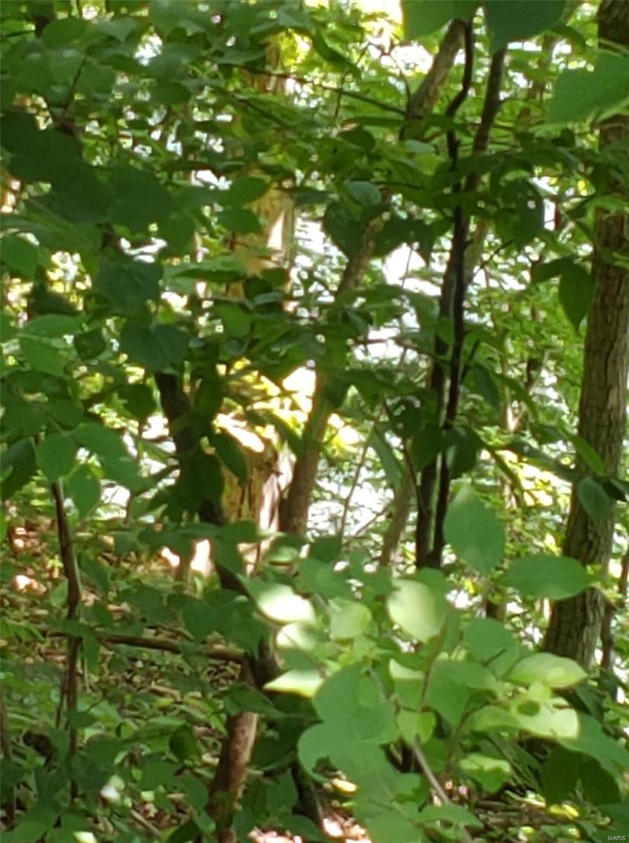 Lake Sherwood Estates - Land