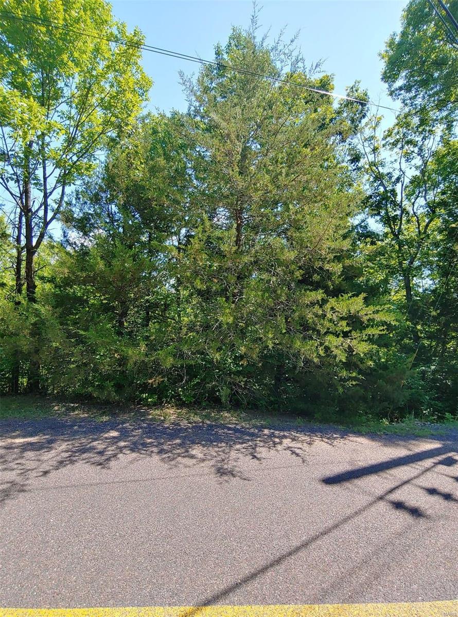 Lake Sherwood Estates - Land