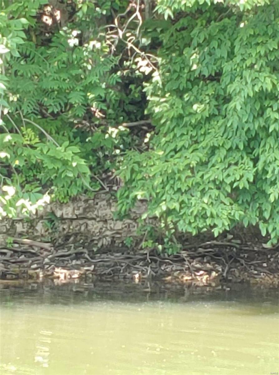 Lake Sherwood Estates - Land