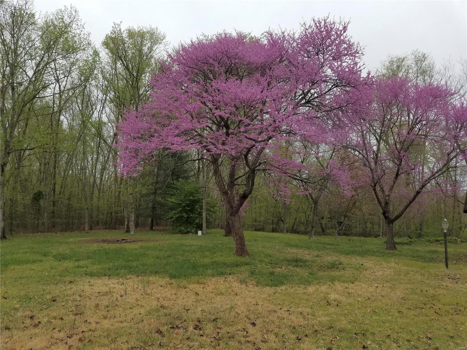 North of Brewer's Bay - Residential