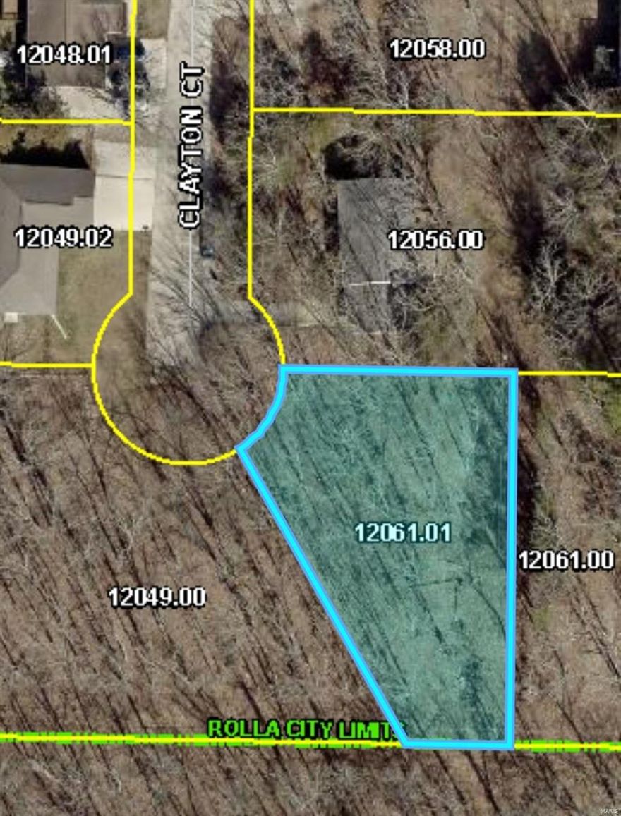 OUTSIDE CITY LIMITS OF ROLLA. NO Restrictions. County Water...City sewage...Intercounty Electric. LOT Size 0.30 Acre Located at End of Quiet Cul-de-sac. Build Your New Home OR Build an Investment Duplex Project. NOT MANY LOTS Available like this in the County Close to Rolla.