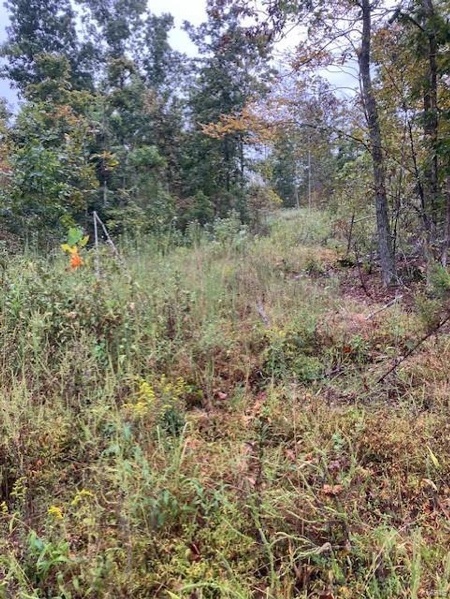 Wooded rural acreage with access to a shared spring-fed stream and within a mile of Mark Twain National Forest ... it doesn't get much better. It's a landowner's dream come true ... for less than the price of a good used car or truck. 
This affordable Ozark oasis comes with NO restrictions. And there's a nice wide deeded easement gravel road leading from the county road to your property.
Hunt, camp, build, ride ATVs on your own land, or fish or play in the shared creek section. 
This property is wooded and rolling. You are within a mile of the 22,176-acre Mark Twain National Forest ... public ground where you can also hunt, ride and explore. All this, and only about 2 miles by road from U.S. 67.
Use this great 15 acres as a base camp for adventure. This and surrounding land is teeming with deer, turkey and small game, and the occasional feral hog or maybe a black bear. 
Ownership comes with access to a 3-acre shared stretch of the magnificent 12 Mile Creek and gravel bar.