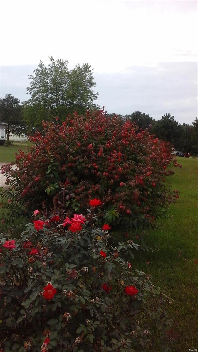 Melody Lake - Residential