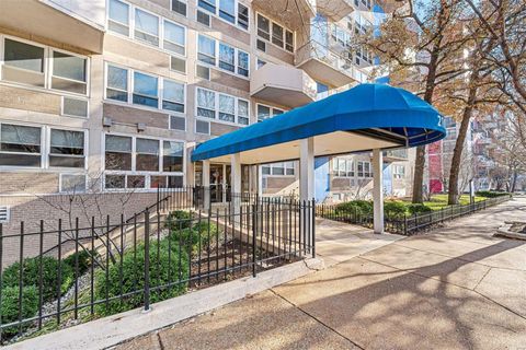 210 N 17th Street 1005 St Louis MO 63103