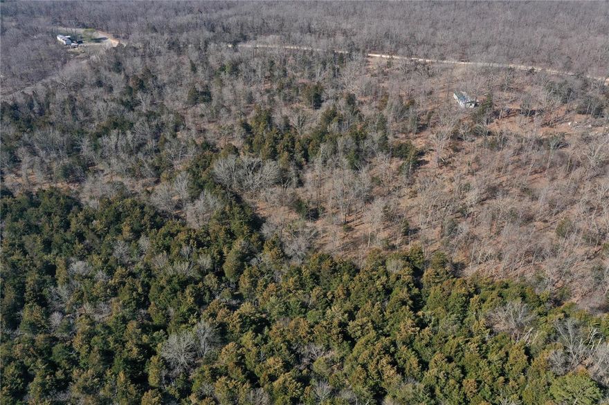 If you have been looking for some recreational property with great access or a place to build, this is it. This 40+/- acres is located just minutes from Potosi and has over 1300ft of road frontage. There is electric on site and well and septic located on the property as well. Come build your dream home or have a great place to park that camper for the weekend. NO RESTRICTIONS!!