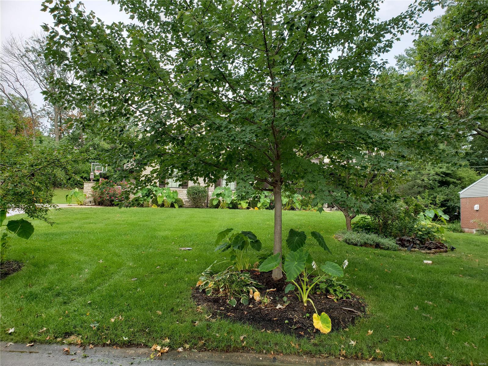 Morwood Hills 4 - Residential