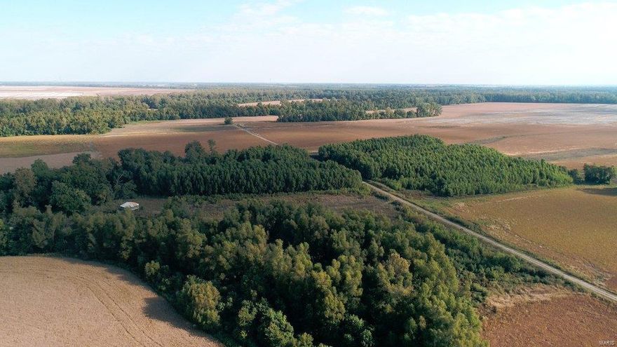 EXCELLENT HUNTING FARM WITH INCOME/INVESTMENT OPPORTUNITIES  Located on the New Madrid/Pemiscot County line is this 320+/- acre property, loaded with recreational & income producing possibilities. 
240+/- acres are currently in tillable production, creating $48,000.00 of annual income. Balance is in timber & brush, & this habitat is home to a good number of wild turkey & whitetail deer. 
Property has the potential to be an excellent duck hunting property, it sits just a few miles west of Reelfoot National Wildlife Refuge, home to thousands of migrating ducks & geese every fall. 
• Property joins 100s of acres of state land
• Loaded with deer & turkey
• Waterfowl potential
• Located just east of Portageville, MO and I-55
There are two programs that this property is likely to qualify for, one is a Ducks Unlimited Conservation Easement Program; the other is the WRE Program through USDA. Attached is a potential cash flow model on how these programs could work for the new owner.