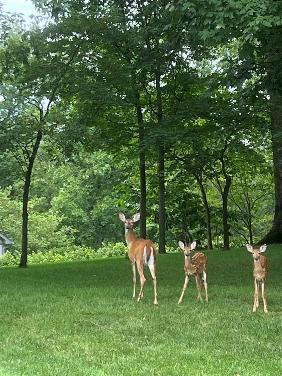 Meridien - Residential