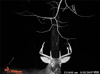 Cedar Hollow - Residential