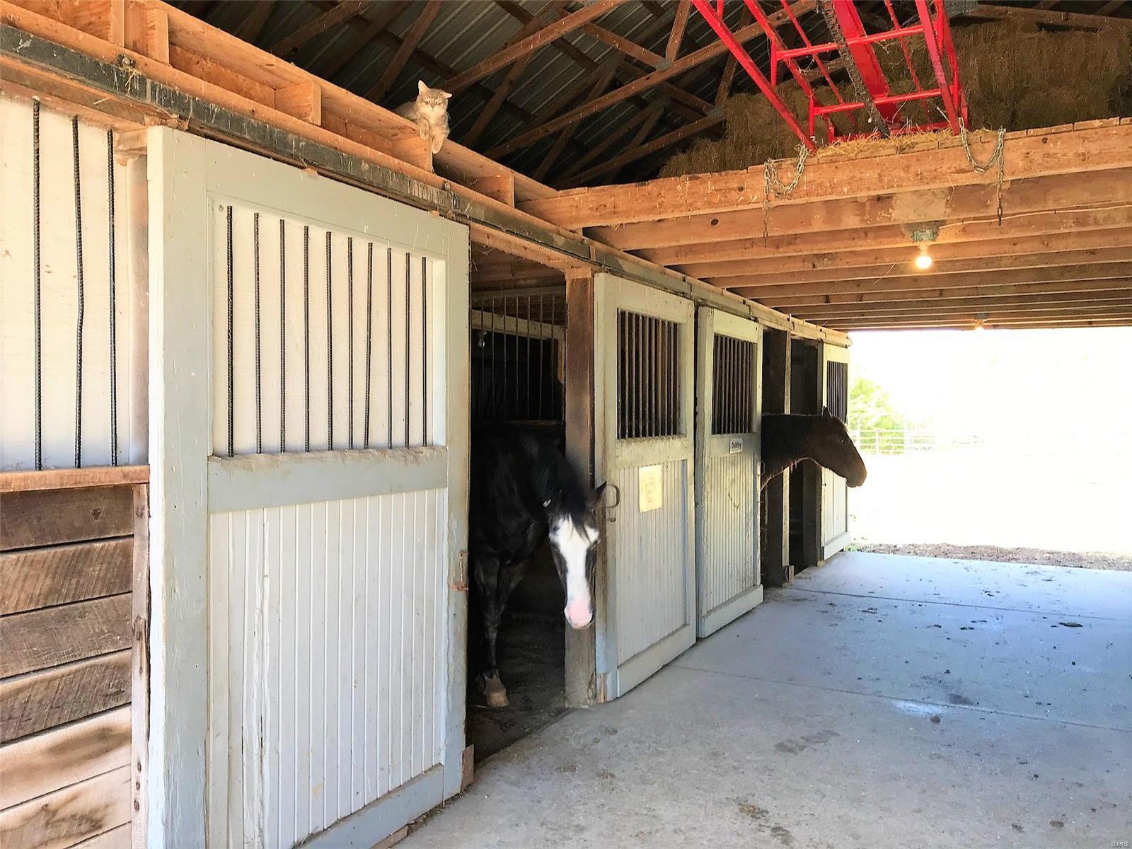 Anthonies Mill Resort and Estates - Residential