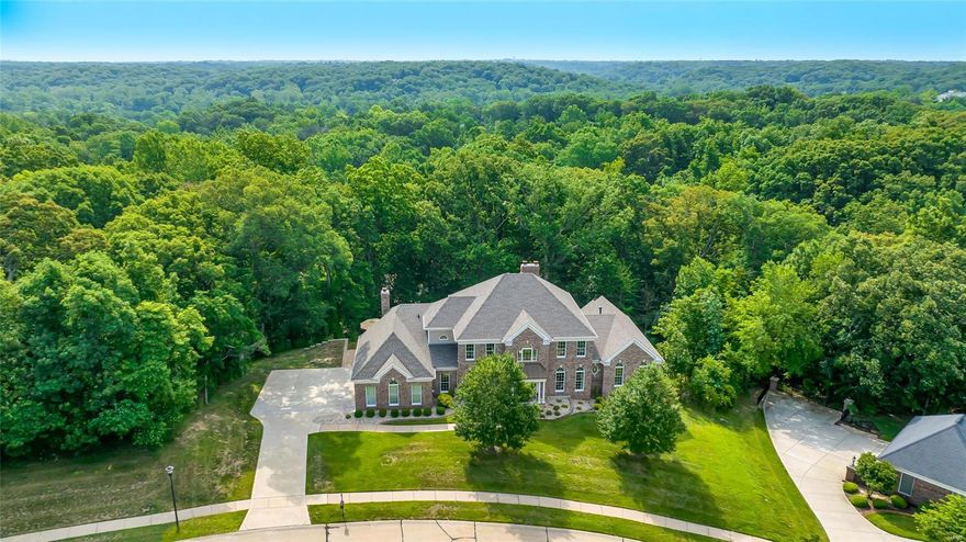 Beautiful 1.5 story on gorgeous 3/4 acre lot backing to trees! Indulge in the luxury of your own private oasis with sparkling pool w/heat pump and huge multi tiered patios, an amazing fire pit perfect for gatherings. On the main floor you find a large 2 story entry, great room w/fireplace, elegant separate dining room. Updated kitchen with granite counter tops, 42 inch cabinets, double ovens, walk in pantry, gas cook top open to breakfast area with lots of natural light & hearth room with gas fireplace, double french doors leading to a large deck with amazing views. Main floor master suite with vaulted ceiling, his and her walk in closets & luxury bath where you can relax in the whirlpool tub open to the full view of the resort style back yard. Three additional upper level bedrooms with a private bath and a Jack & Jill bath. Finished walkout LL with amazing views of the pool, rec room, third fireplace, wet bar, exercise and steam room, full bath w/loads of storage.