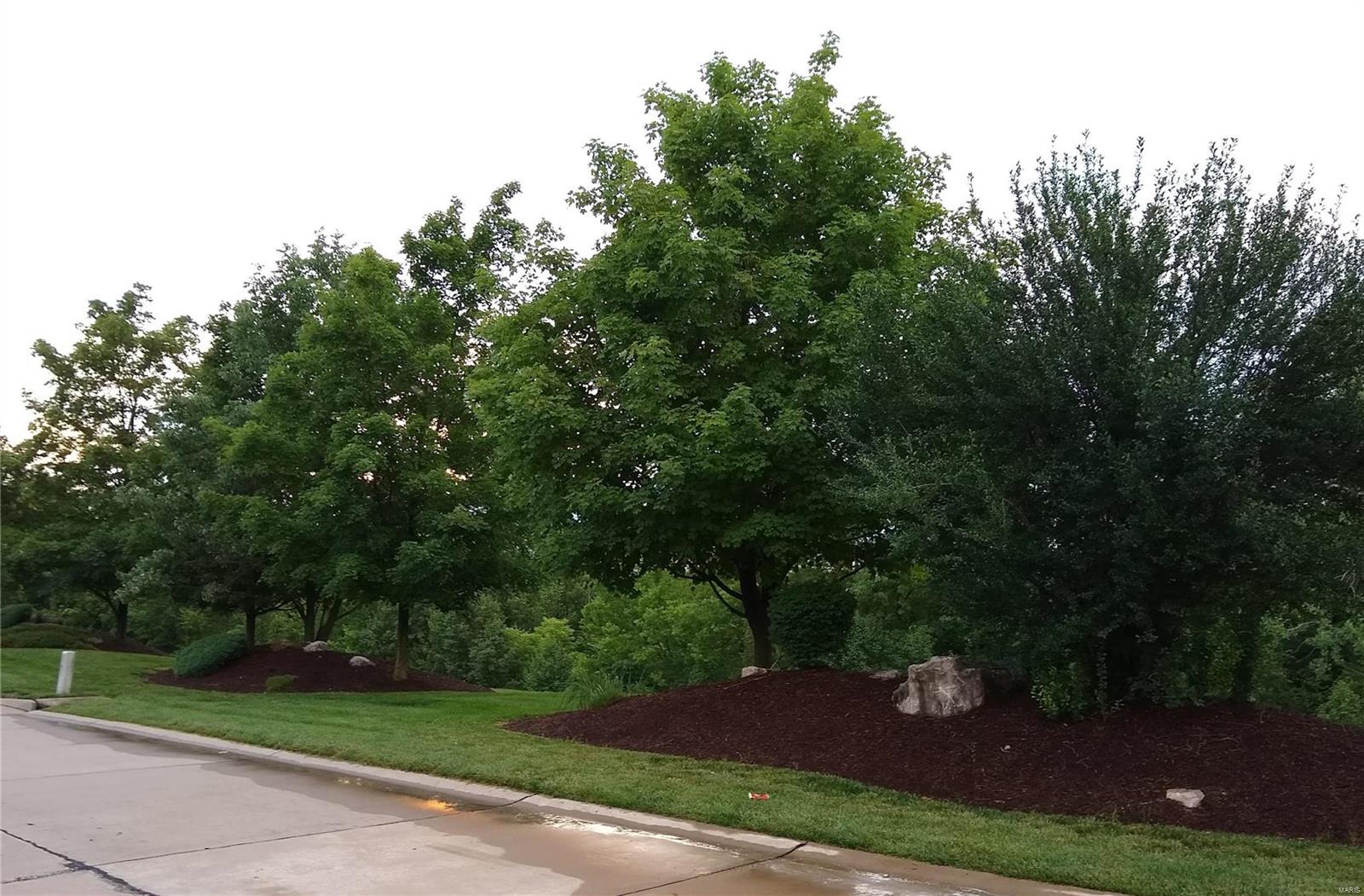 Lake View Forest - Residential