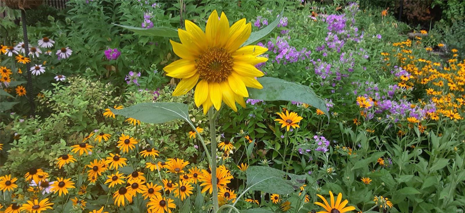 Innsbrook - Residential