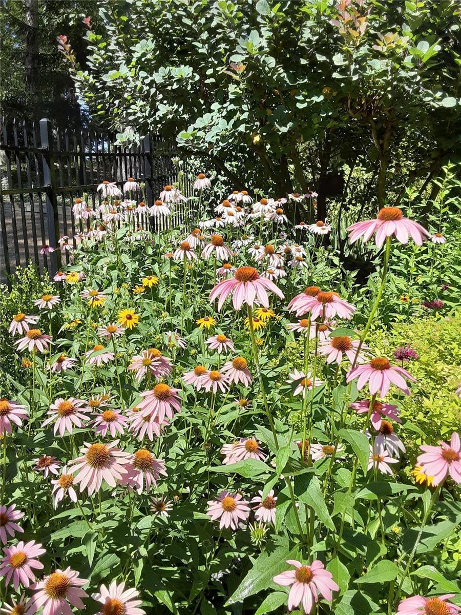 Innsbrook - Residential