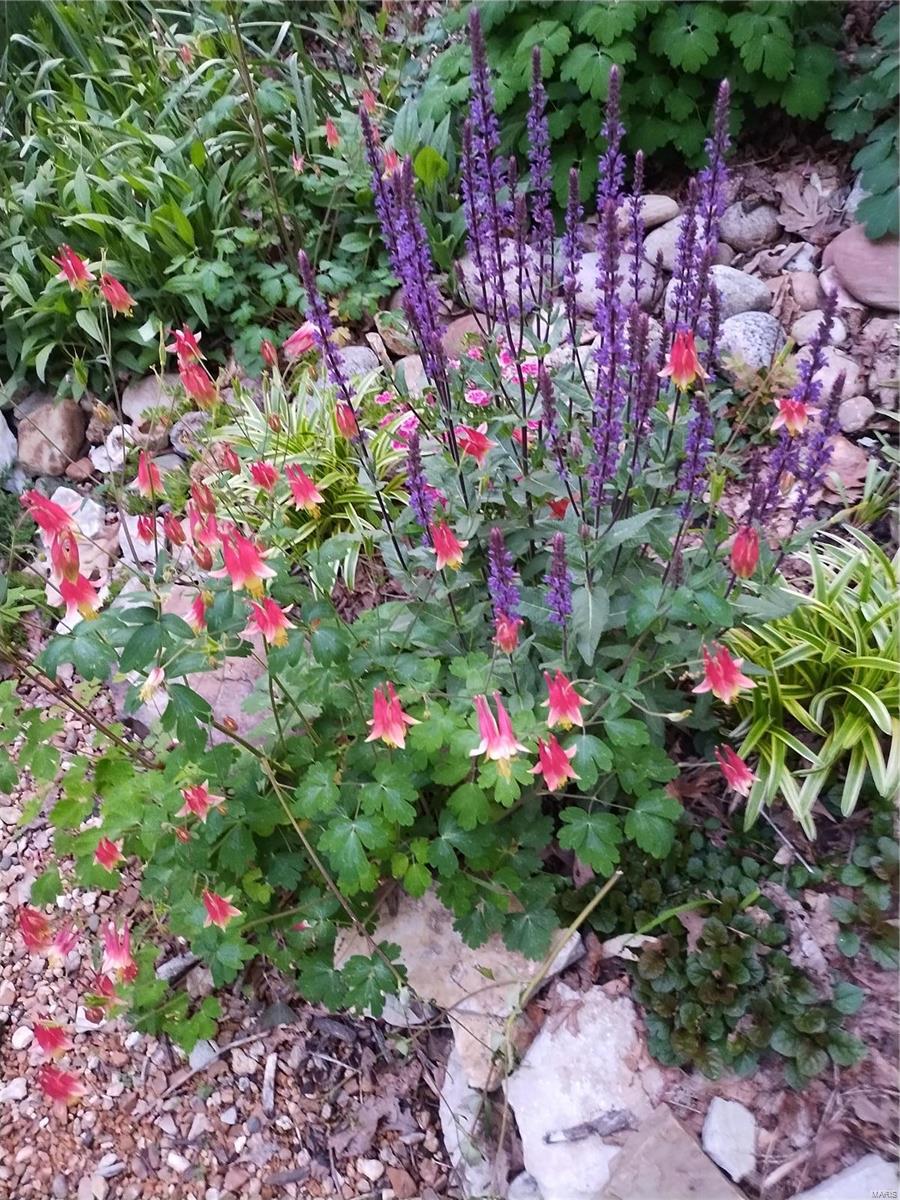 Innsbrook - Residential