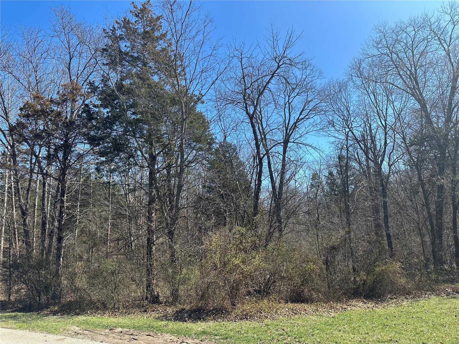 430 Mark Twain Loop