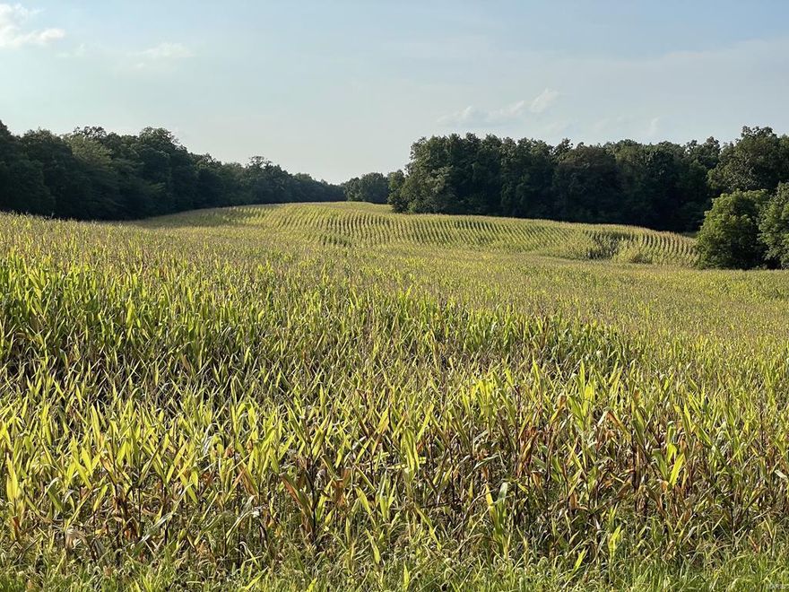 Hunting Tract located in Northern Lincoln County!! A perfect sportsman paradise offering an opportunity to own a great hunting tract within 40 min of Wentzville. This property has approx. 30 acres of tillable land currently in corn production with the balance of the property in timber/brush. With the established row crop land and food plot opportunities this property will boast excellent deer and turkey hunting. A creek runs through the property. Owned access from the blacktop. This area is known for producing giant bucks! Another bonus to this property, there are several larger landowners in the area. Recreational tracts are rare to find in this market, if you're looking for a hunting/recreational tract in Lincoln County, give this one a look.