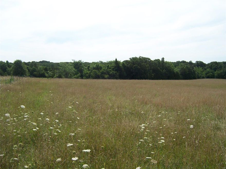 26.19 Acres +/- on Mount Olive County Road. This listing also includes Parcel #23-8.0-28.0-0-000-024. Lots of Pasture with balance in nice hardwoods. Great homesite(s). Horses or cattle can work here. Call for more information. NOTE: Example of aerail with property lines is an example only. The Property will need to be surveyed for an exact legal & acreage total.