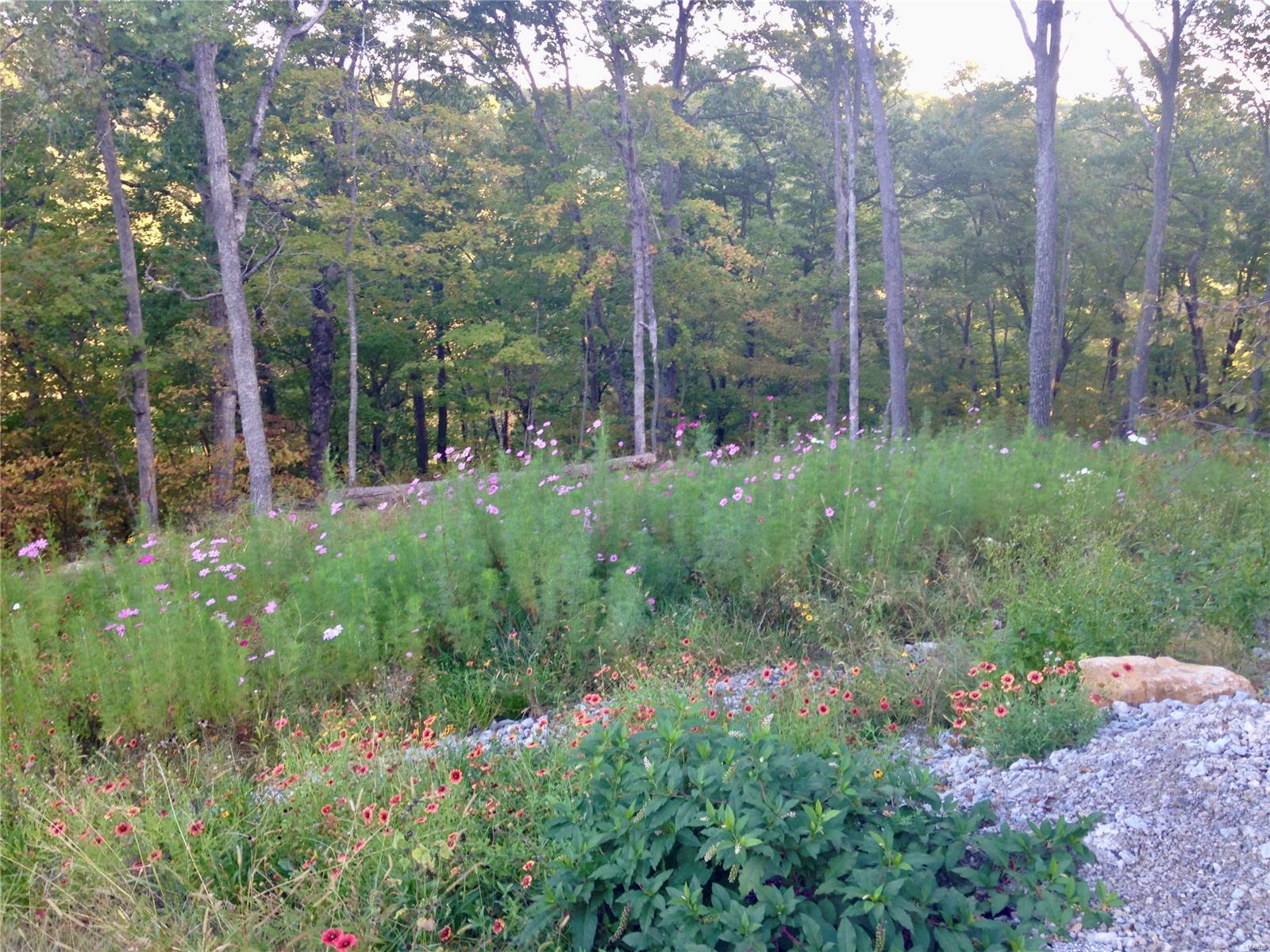 Callaway Lake Forest - Residential