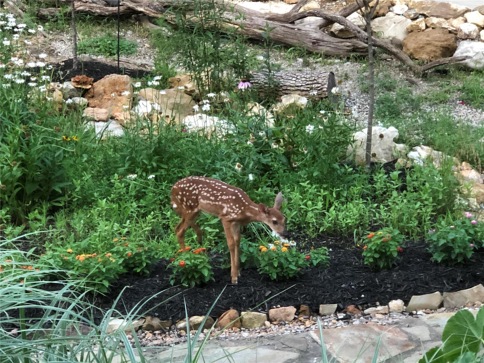 Callaway Lake Forest - Residential