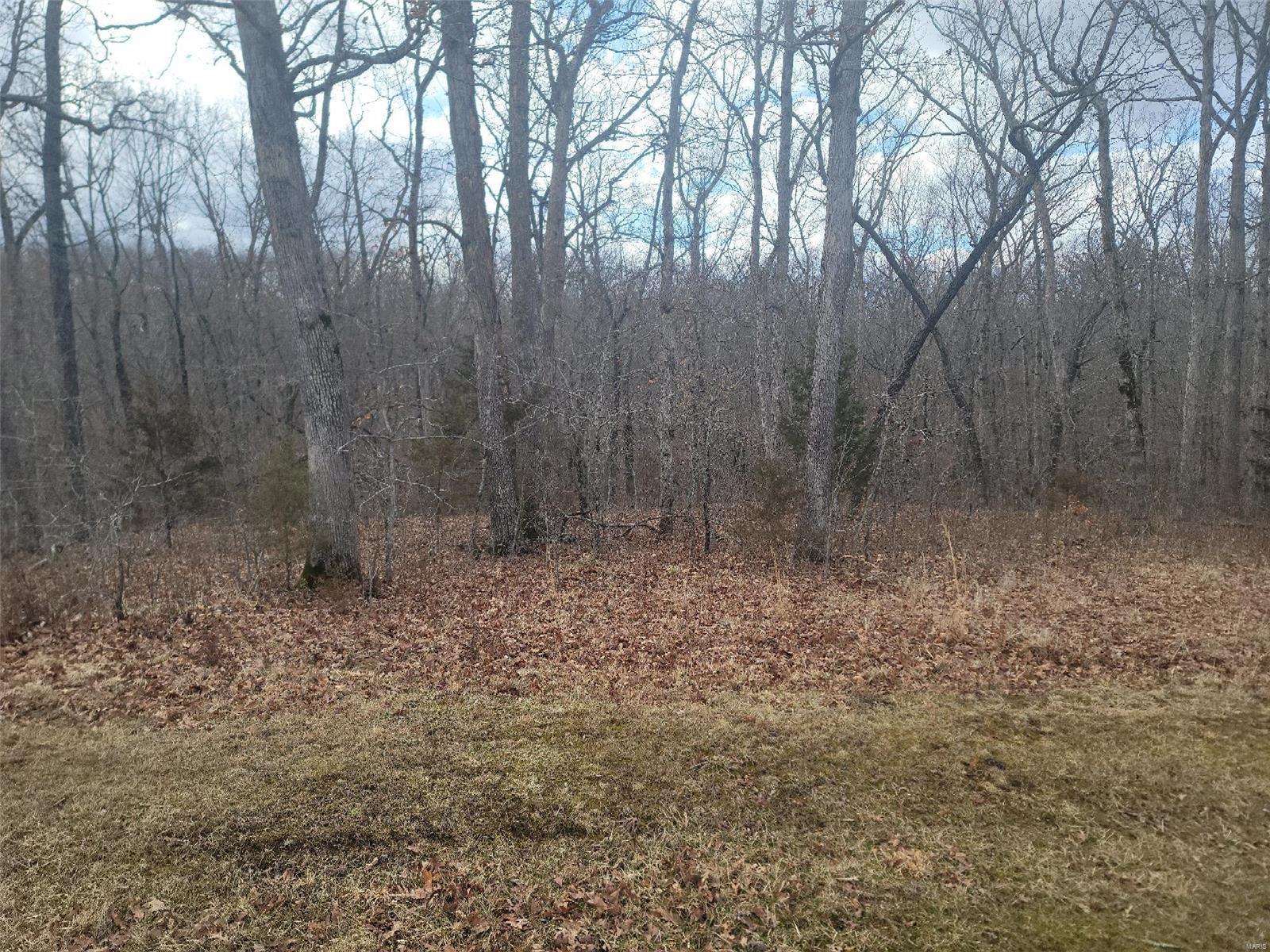 Clarks Hollow - Land