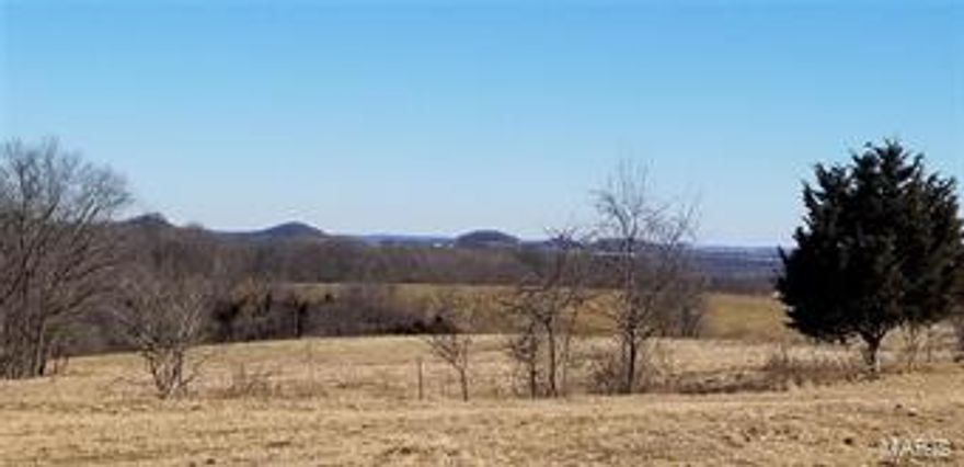 If you are looking for a Nice Cattle Farm, Here it is! 469.2+/- Acre Cattle Farm with pen pasture, fenced and cross fenced. Scattered blocks of timber provide protection and great hunting. This farm has fantastic views from the rolling hills and this is a great property to build your country getaway or start a cattle operation. Located less than 1 hour from St. Louis.