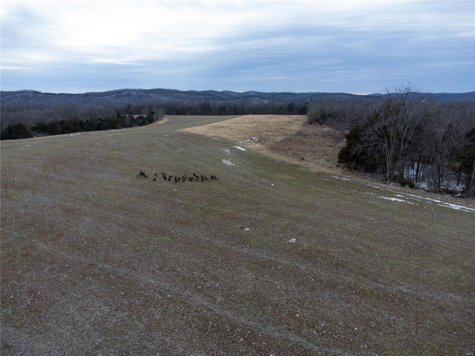 6365 Horneker Road Lt Split - Farm