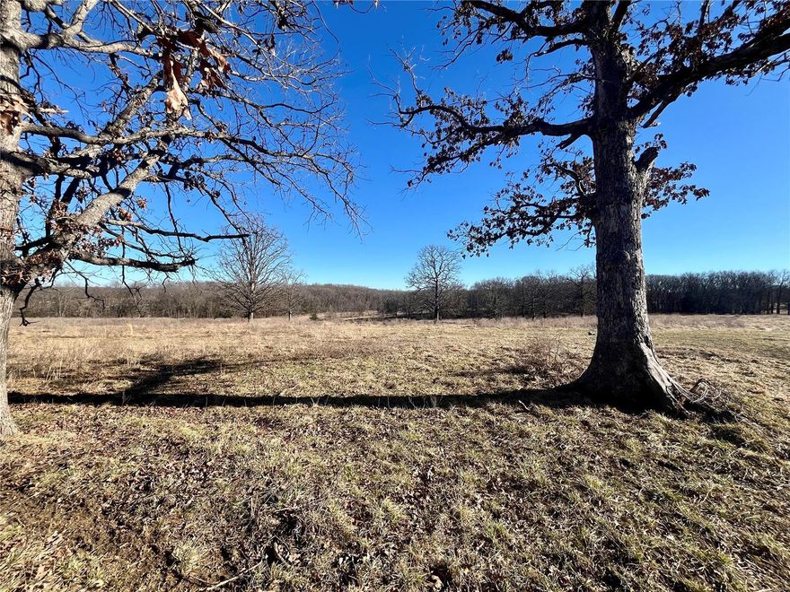 159+/- acres in the Spring Bluff School District.