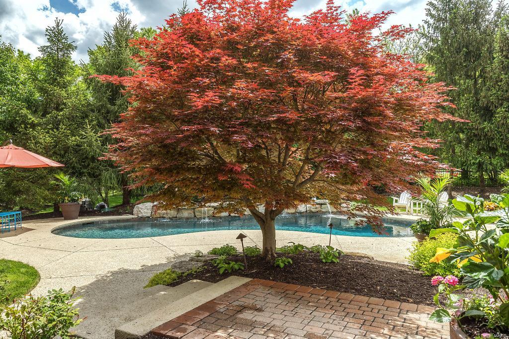 Conway Commons - Residential