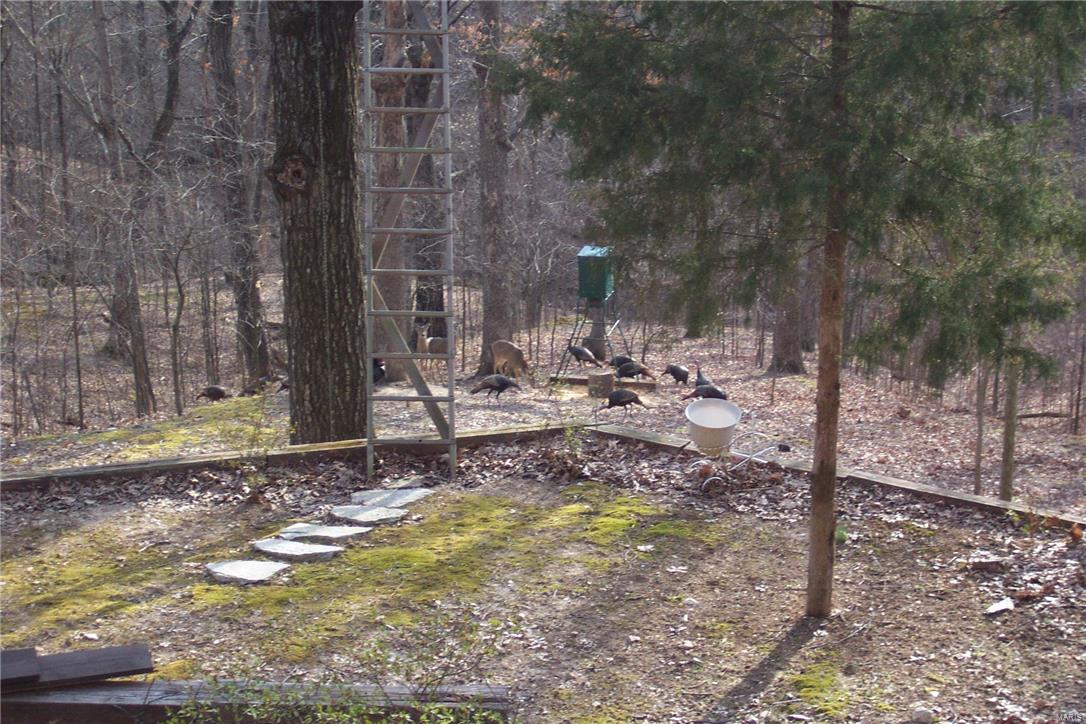 Monarch Hill - Residential