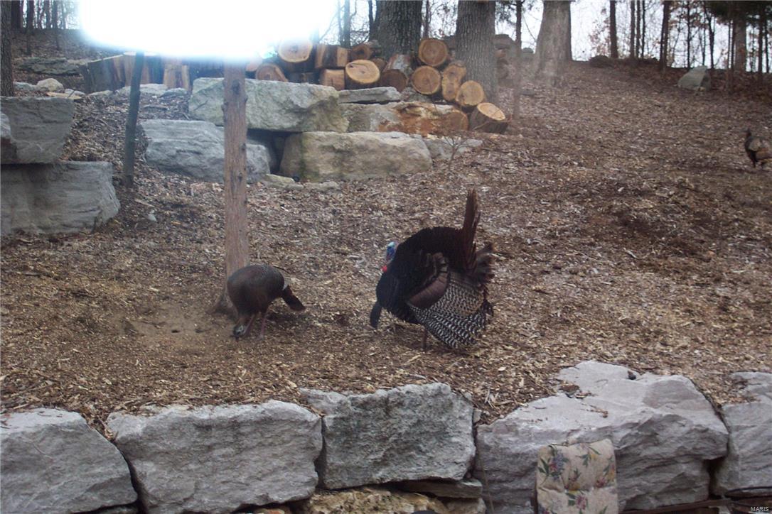 Monarch Hill - Residential