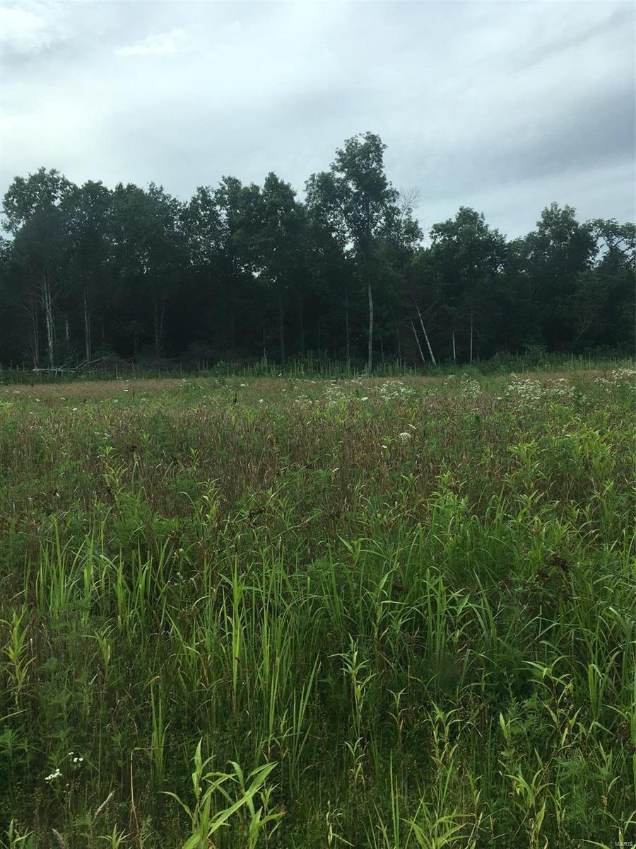 Lake Forest Farms - Farm