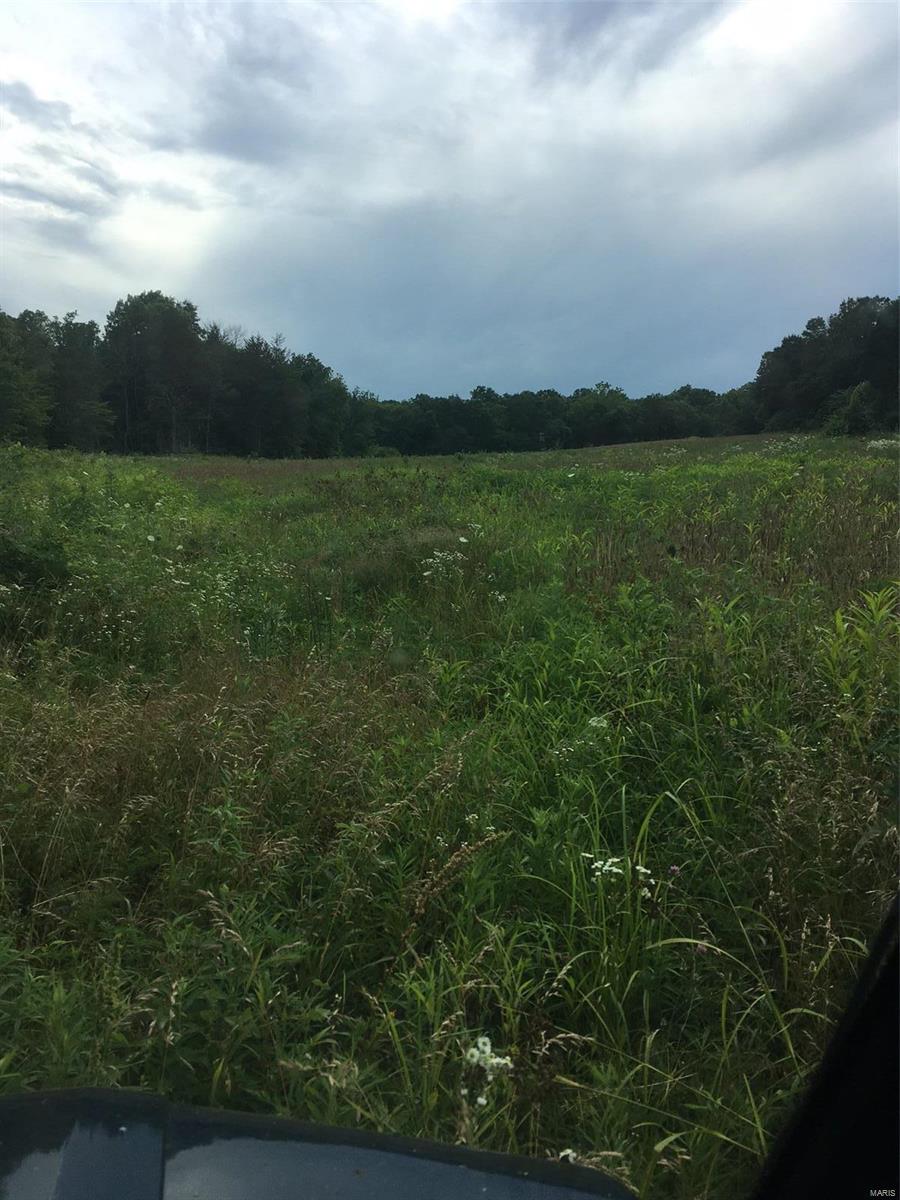 Lake Forest Farms - Farm
