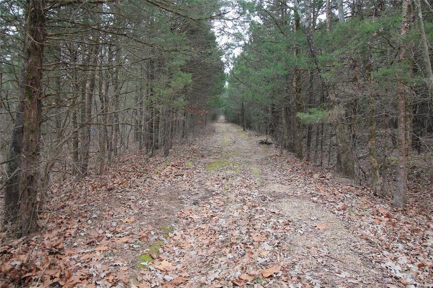 This mostly wooded property consists of 24+/- acres of mature hardwood timber perfect for a secluded recreational get-a-way. There is building potential along Deer Valley Rd. Electric is approximately 1,200 feet away from the property boundary. This property is apart the Lake Forest Farms community that includes access to a 32+/- acre lake. The HOA fee is $100 annually and covers road and lake maintenance. There are restrictions, but they are limited. Mobile or manufactured homes are permitted on this lot as well as ATV’s, UTV’s, hunting, trapping, and non-commercial livestock.