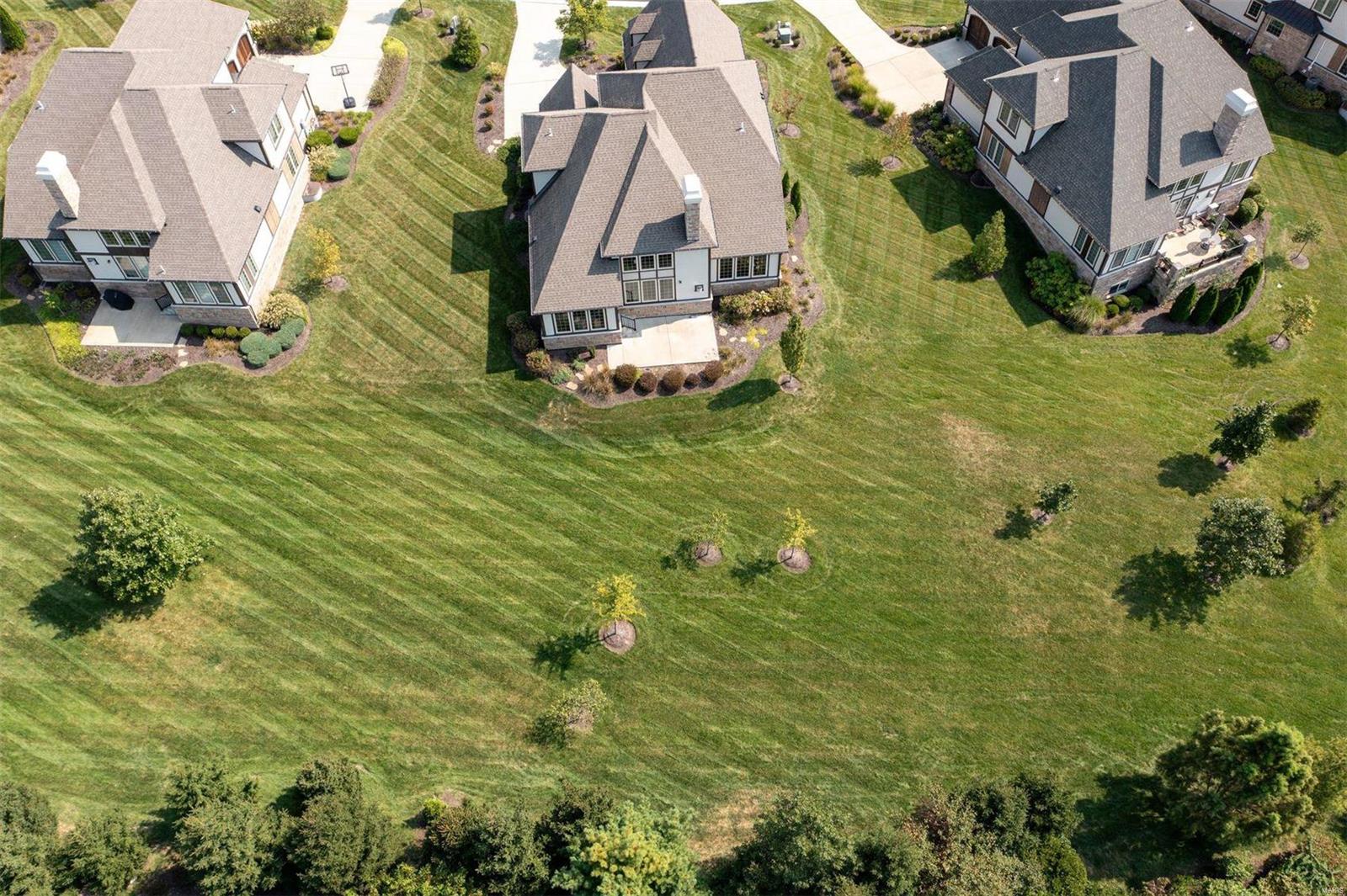 Woods Of Ladue The - Residential